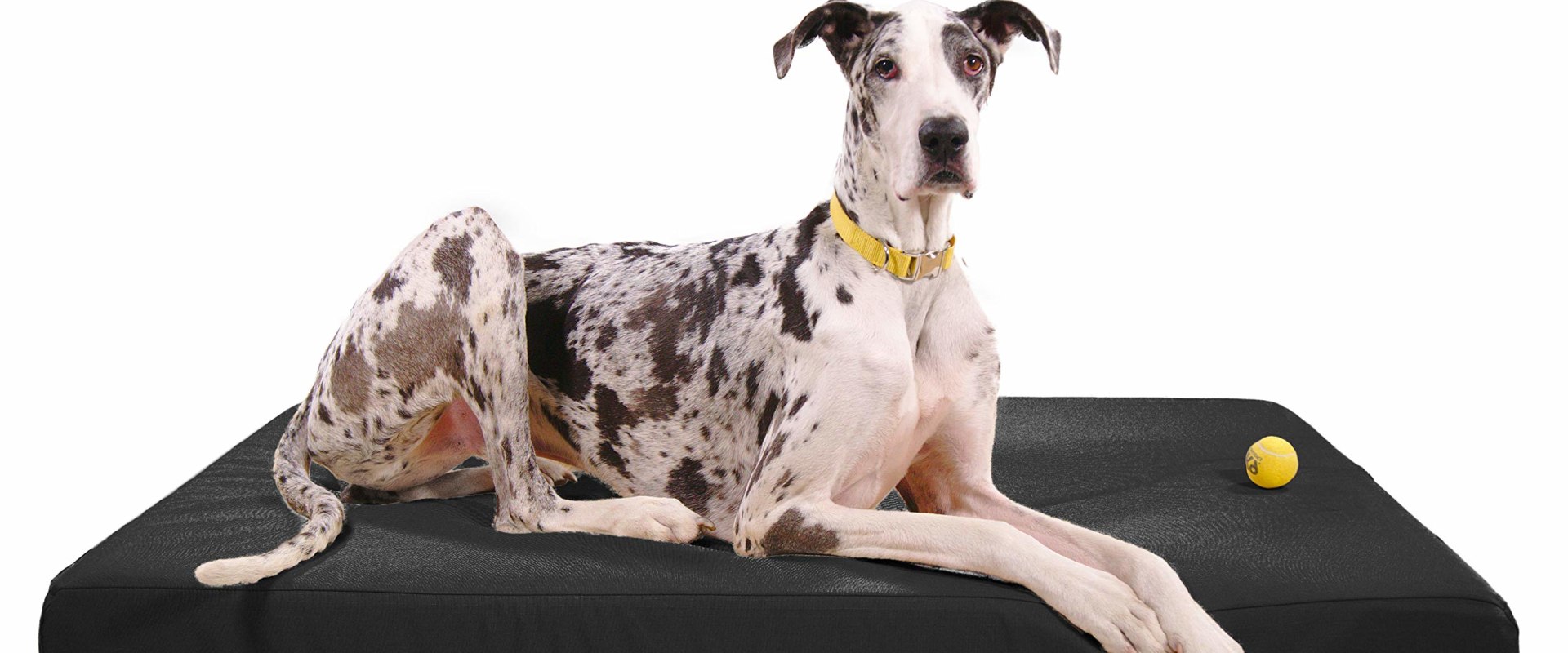 Are Orthopedic Pet Beds Recommended for Older Pets?