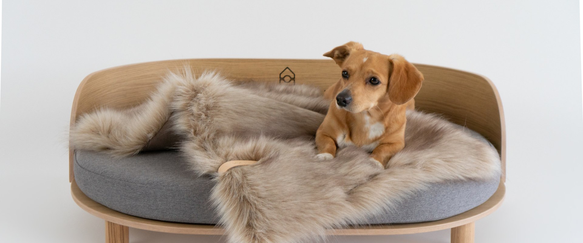 The Benefits of Orthopedic Pet Beds