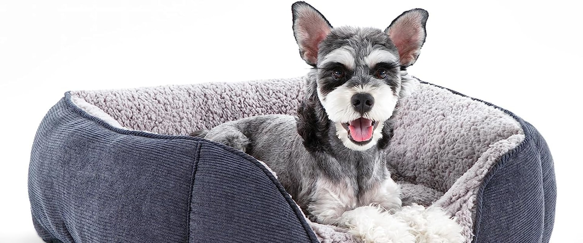 How Long Does an Orthopedic Pet Bed Last?