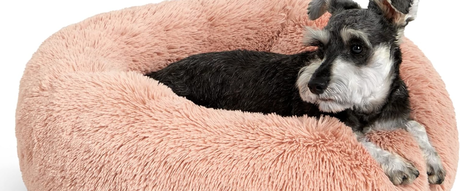 The Ultimate Guide to Pet Calming Beds