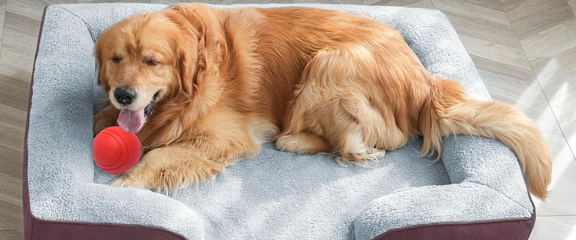 Are Orthopedic Pet Beds Worth It?