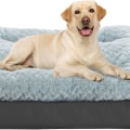 What's the Best Orthopedic Bed for Your Dog?