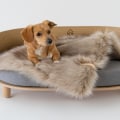 The Benefits of Orthopedic Pet Beds