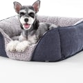 How Long Does an Orthopedic Pet Bed Last?