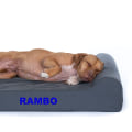 What are the Benefits of Orthopedic Dog Beds?