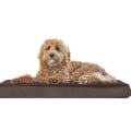 Can Orthopedic Pet Beds Help with Joint Pain in Pets?
