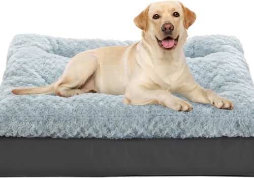 What's the Best Orthopedic Bed for Your Dog?