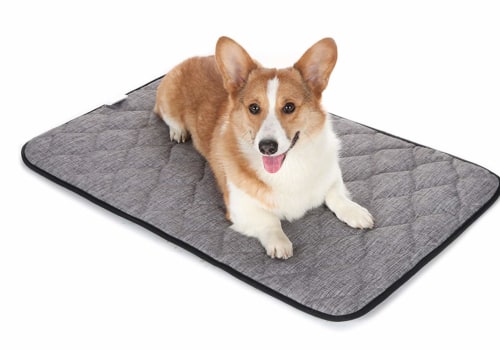 How Thick is the Padding in an Orthopedic Pet Bed?