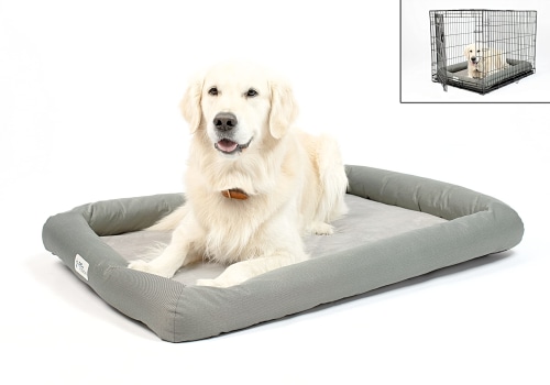 Do Orthopedic Pet Beds Have Temperature-Regulating Properties?