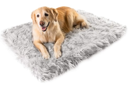 What Additional Accessories Can You Buy for an Orthopedic Pet Bed?