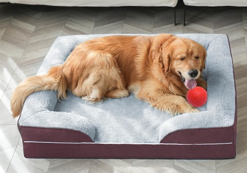 Are Orthopedic Pet Beds Worth It?