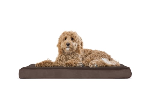 Can Orthopedic Pet Beds Help with Joint Pain in Pets?