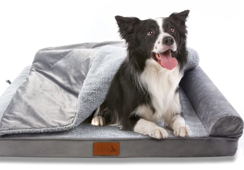 The Benefits of an Orthopedic Bed for Dogs